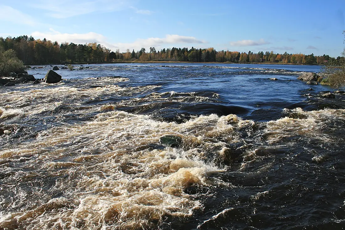 Färnebofjärden Gysinge rapids
