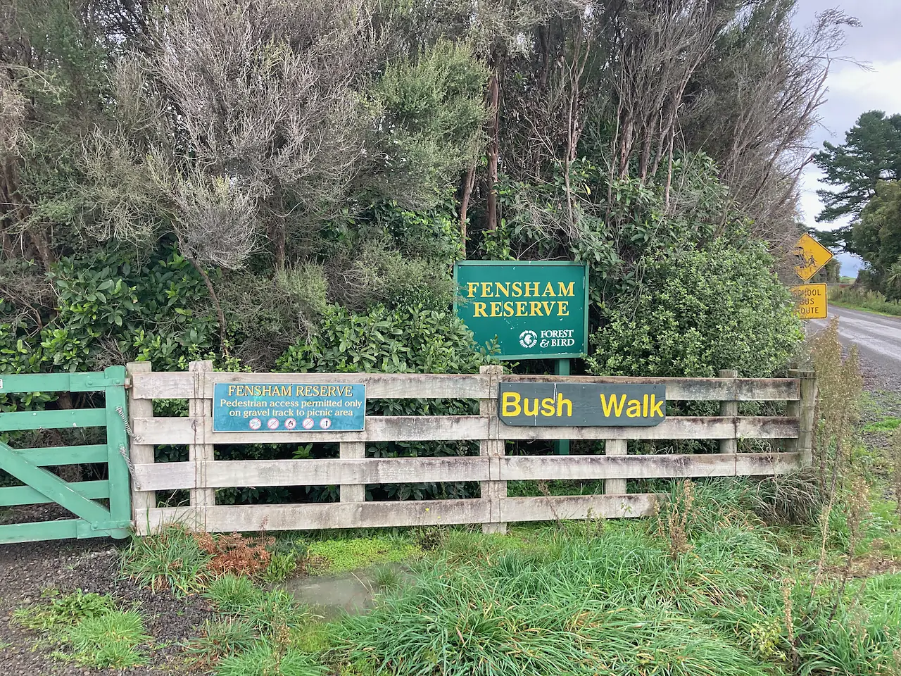 Fensham Reserve MRD 01