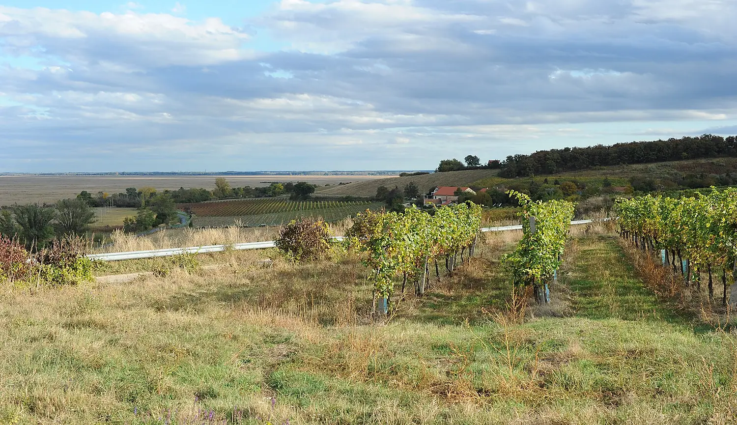 Fertő, Présháztelep - hungary