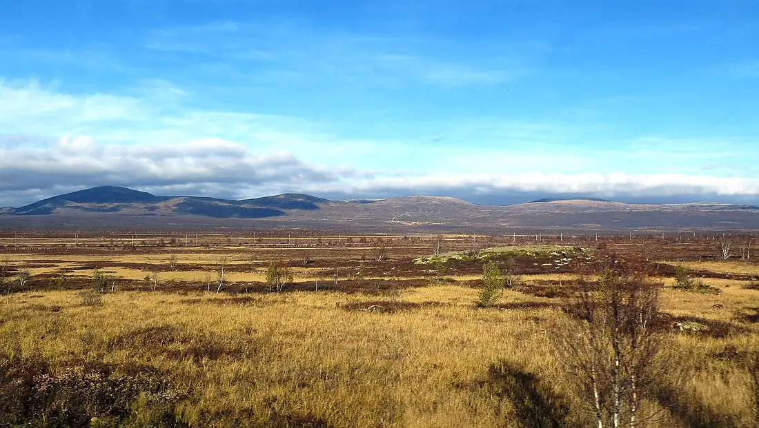 Dovre Fokstumyrene IMG 1316