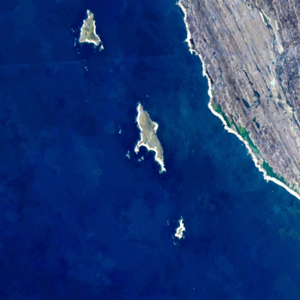 Forlandsøyane Bird Sanctuary seen from above (Sentinel-2)