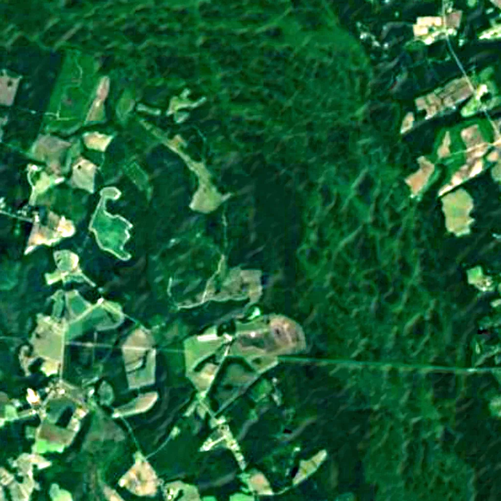 Forêt Francis Beidler vu d'en haut (Sentinel-2)