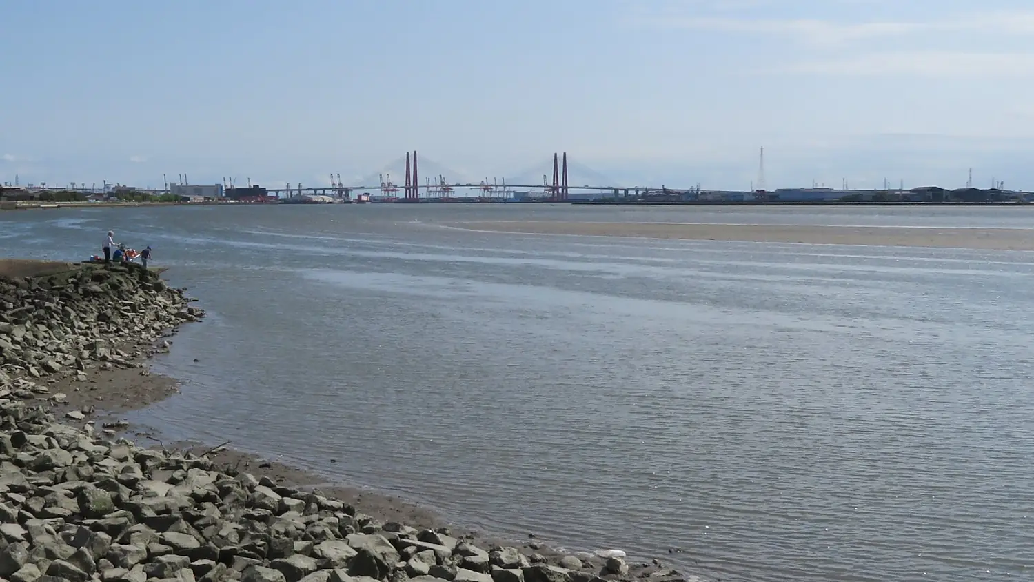 Fujimae tidal flats - 4