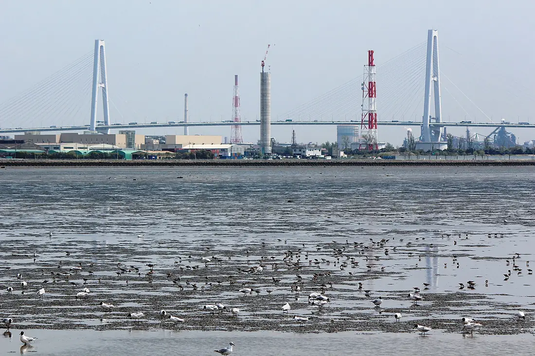 Meiko-Chuo Bridge from Fujimae s2