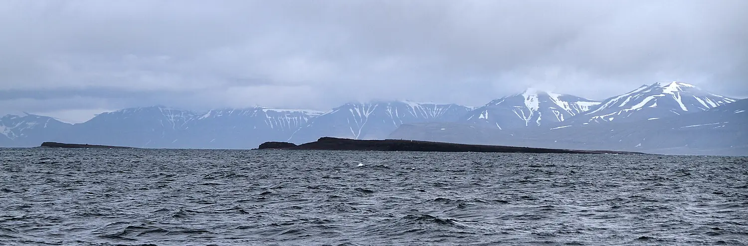 Billefjorden Gåsøyane IMG 7529
