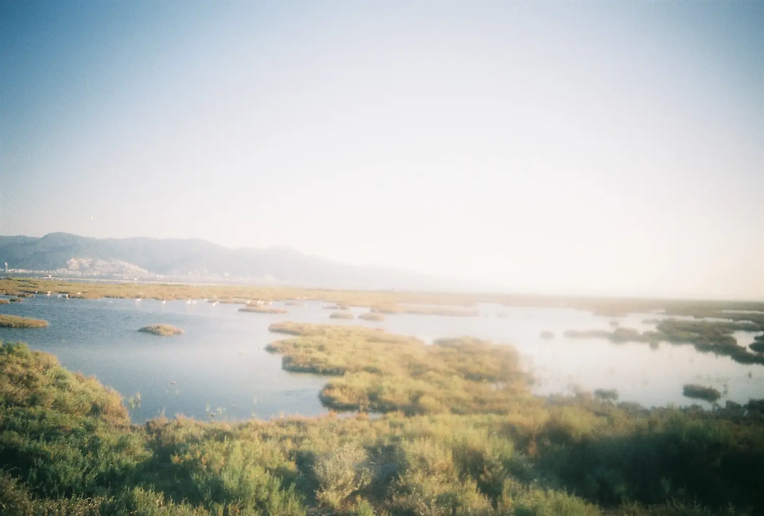 Bright Afternoon at Gediz Delta