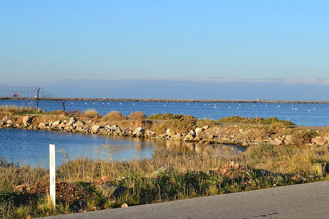 General view of Gediz Delta