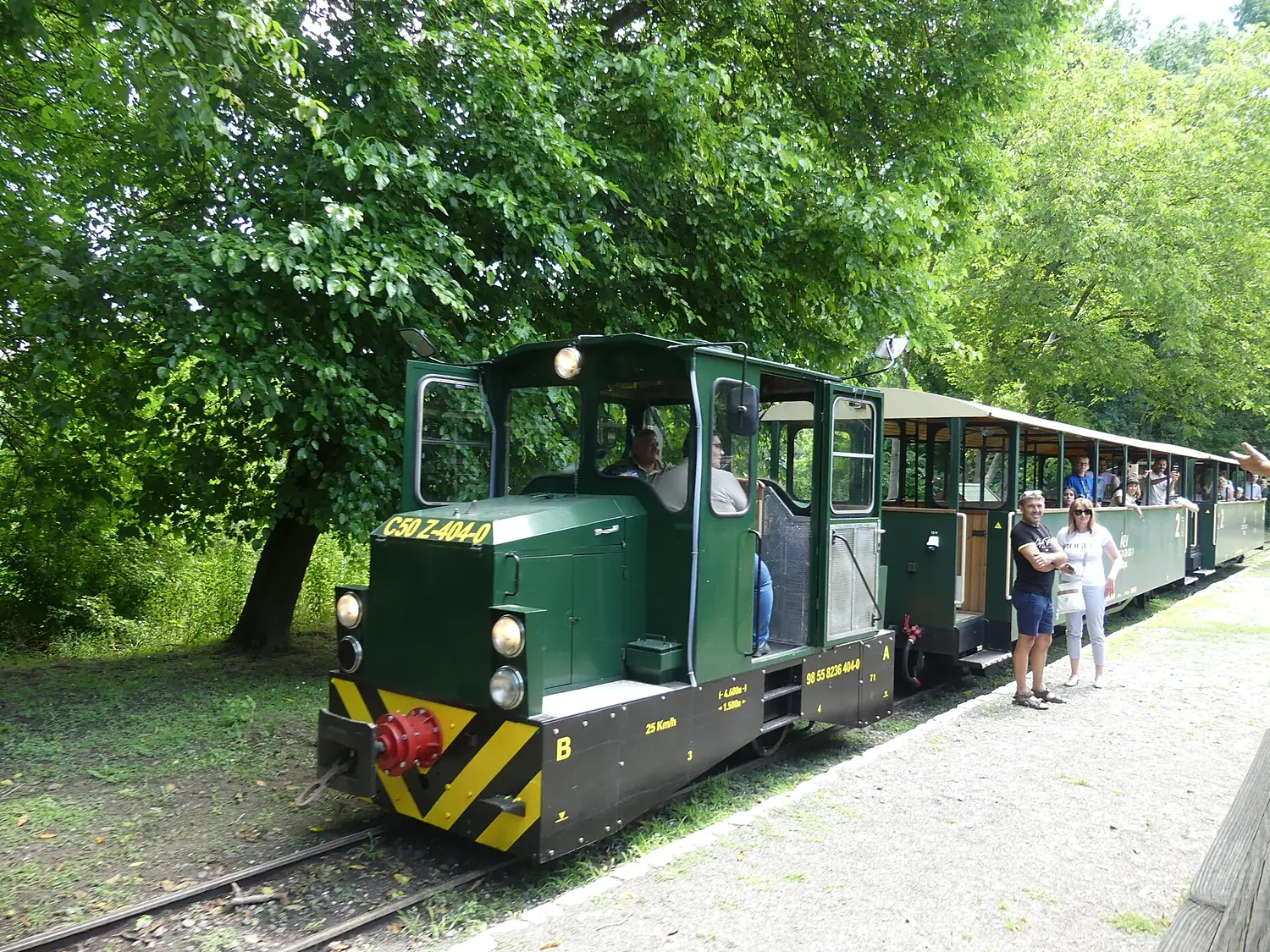 Gemenc forest (10)