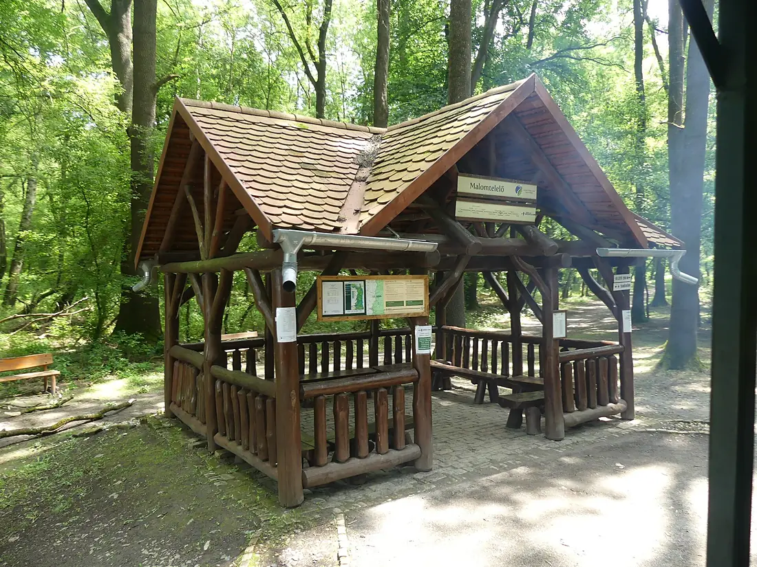 Gemenc forest (11)