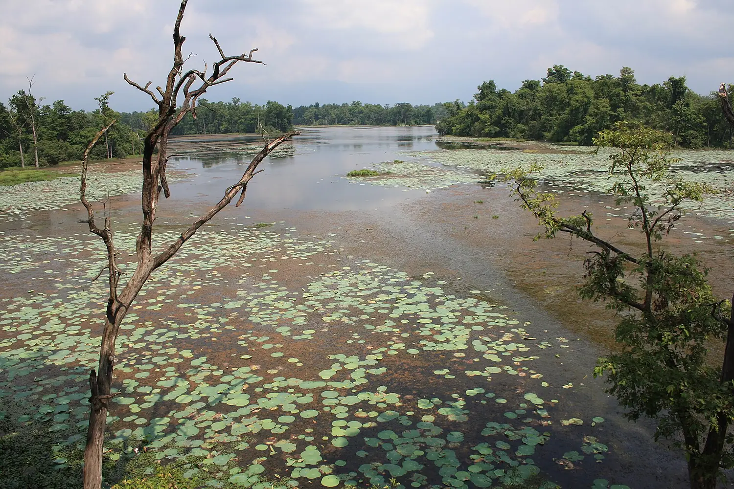 Ghoda ghodi lake, Kailali