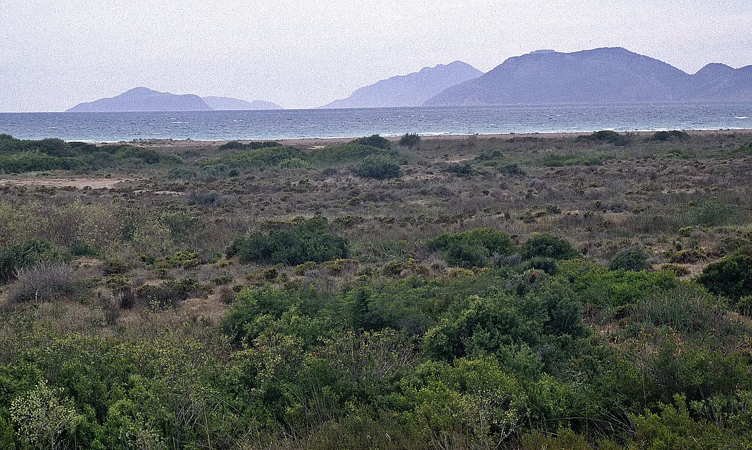 KilGöksu07