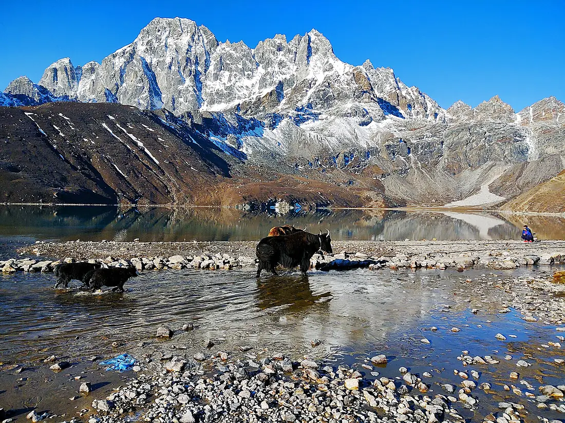 Everest Gokyo Valley Trek