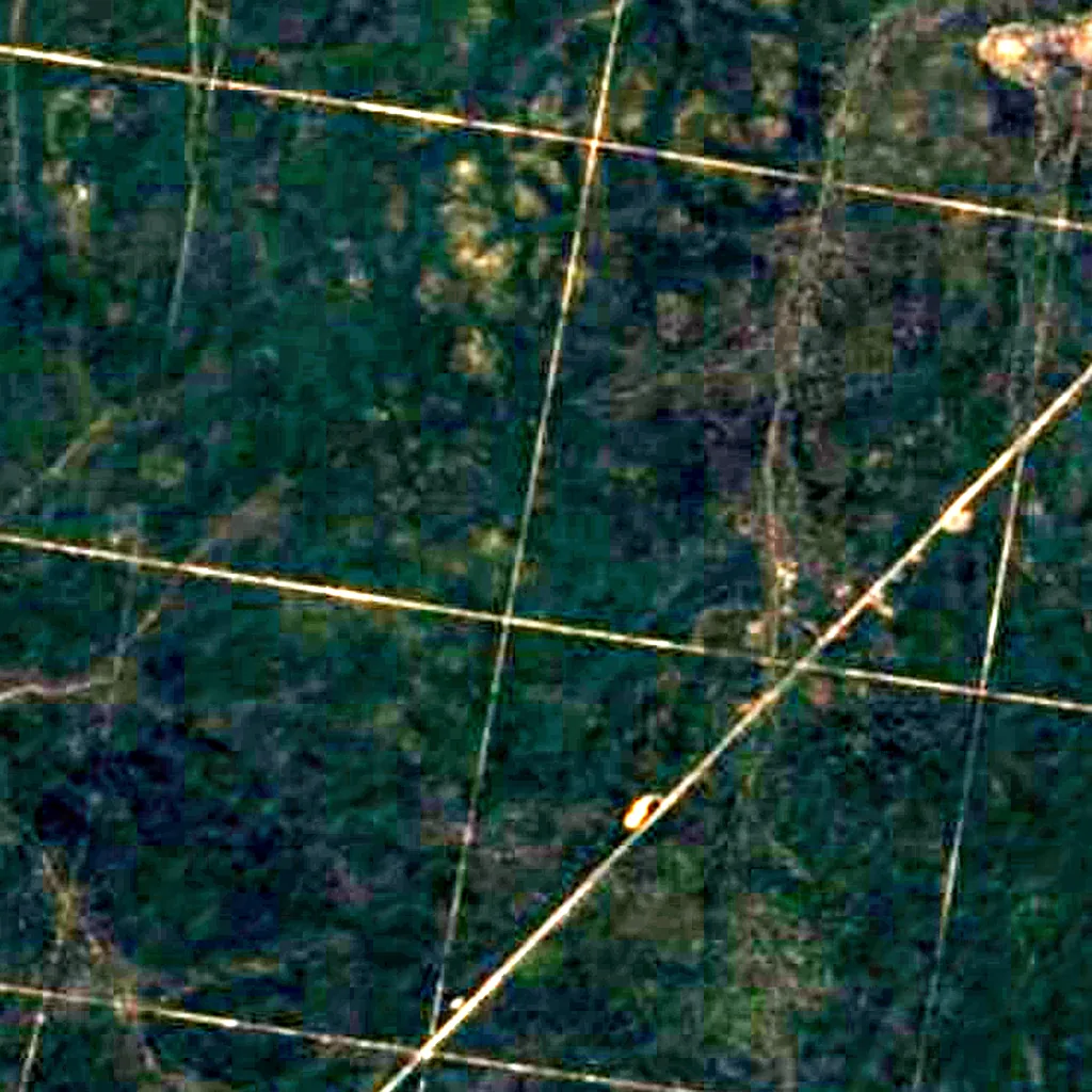 Goonoo Important Bird Area seen from above (Sentinel-2)