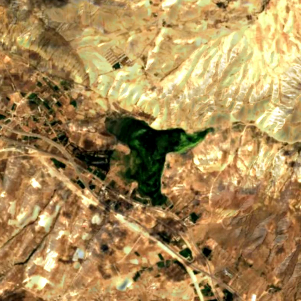 Gori Lake seen from above (Sentinel-2)