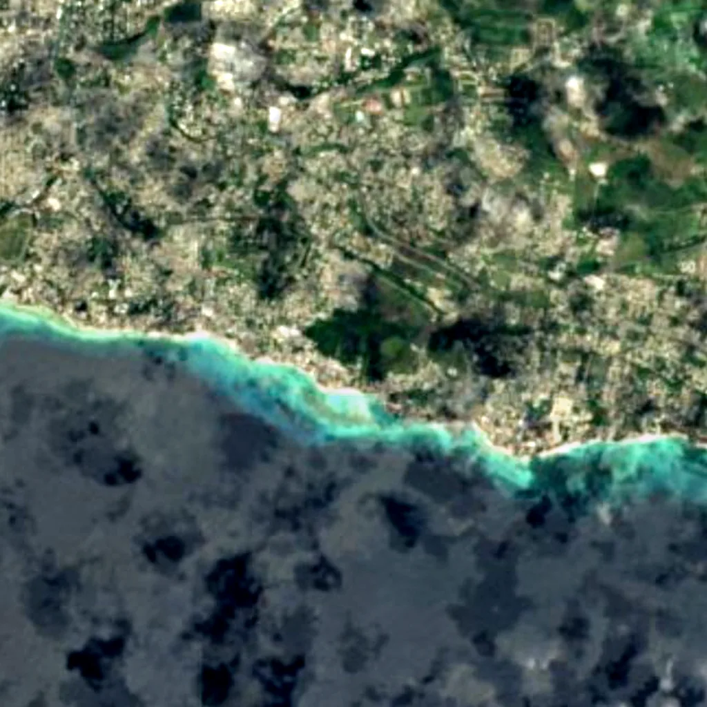 Graeme Hall Nature Sanctuary vu d'en haut (Sentinel-2)