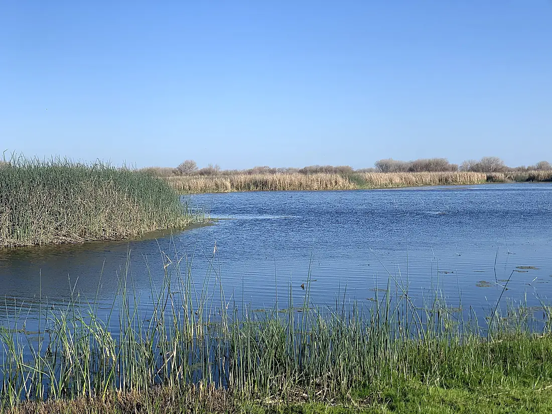 San Luis National Wildlife Refuge 1