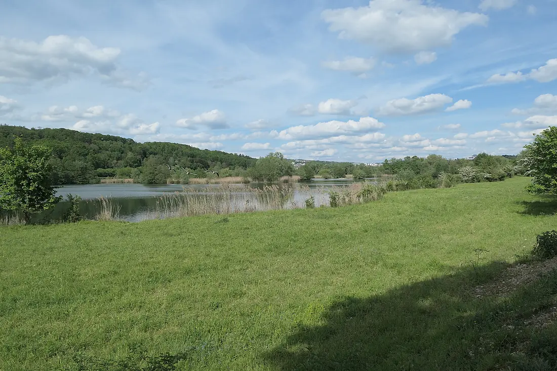 NSG Wernauer Baggerseen img0470