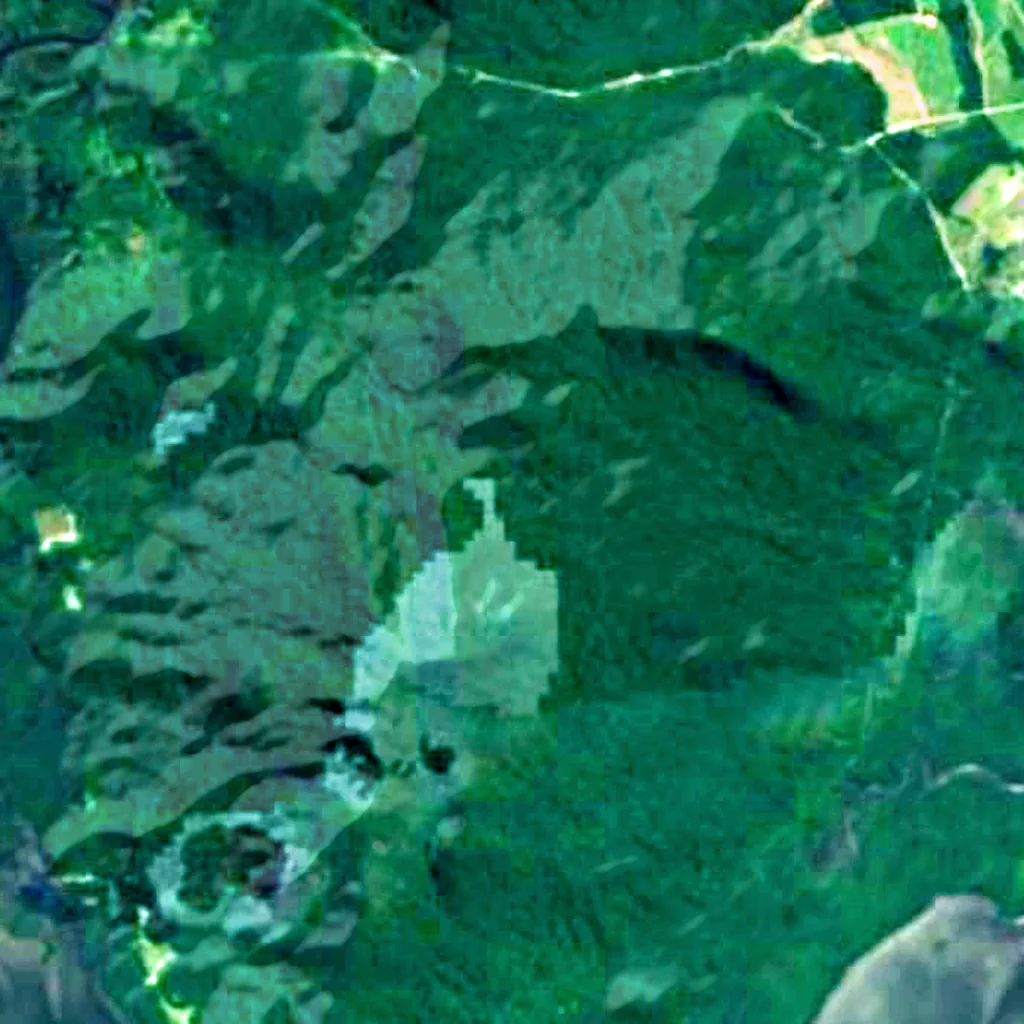 Guaraqueçaba Ecological Station seen from above (Sentinel-2)