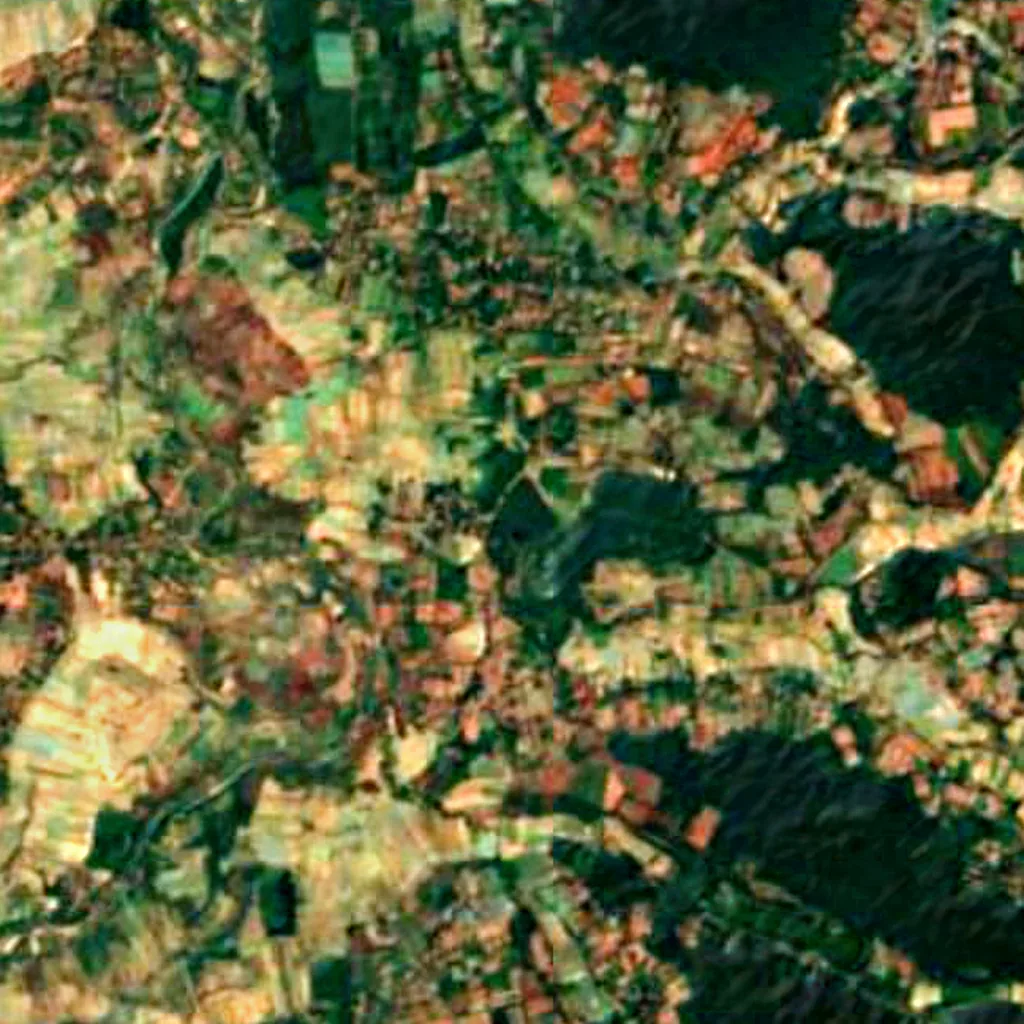 Gudavi Bird Sanctuary seen from above (Sentinel-2)