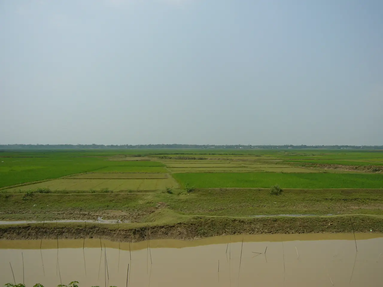 Hakaluki Hawor in Dry Season Sylhet Bangladesh
