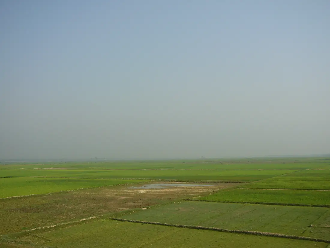 Hakaluki Hawor Sylhet Bangladesh 46