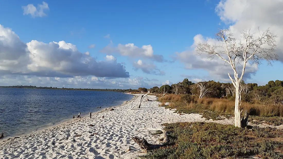 Harvey Estuary from Herron Point, February 2020 01