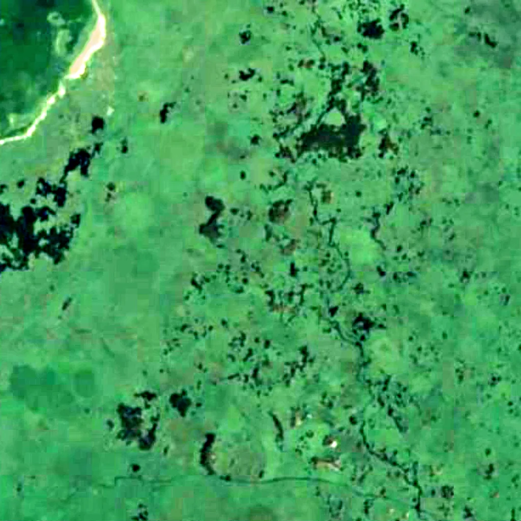 Hawizeh Marshes seen from above (Sentinel-2)