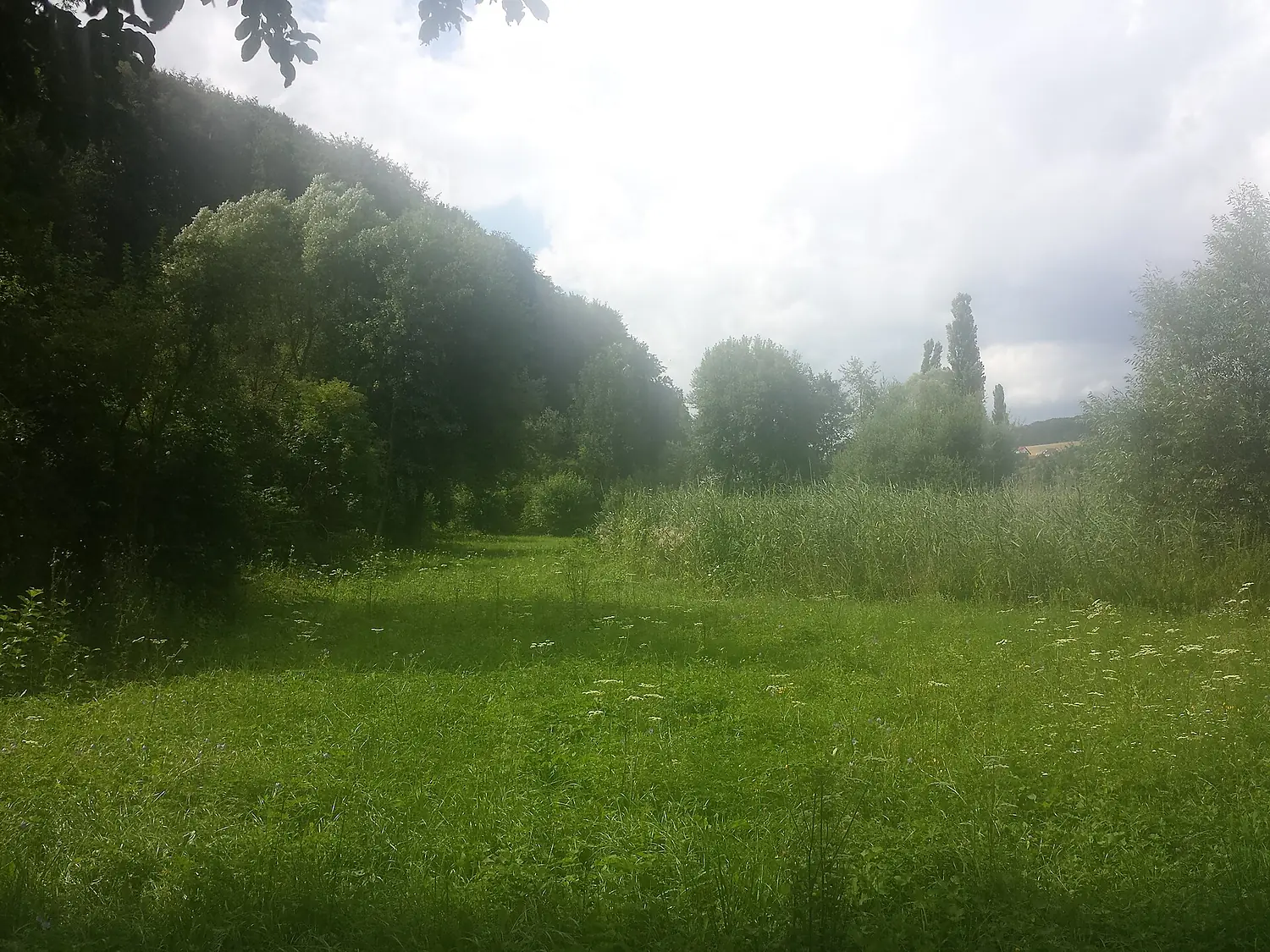 Dienstadt Heiden und Wälder Tauberland 03