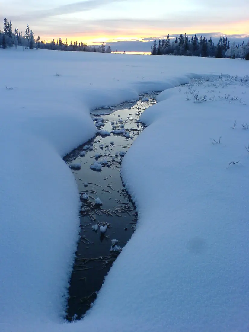 Henvålens naturreservat