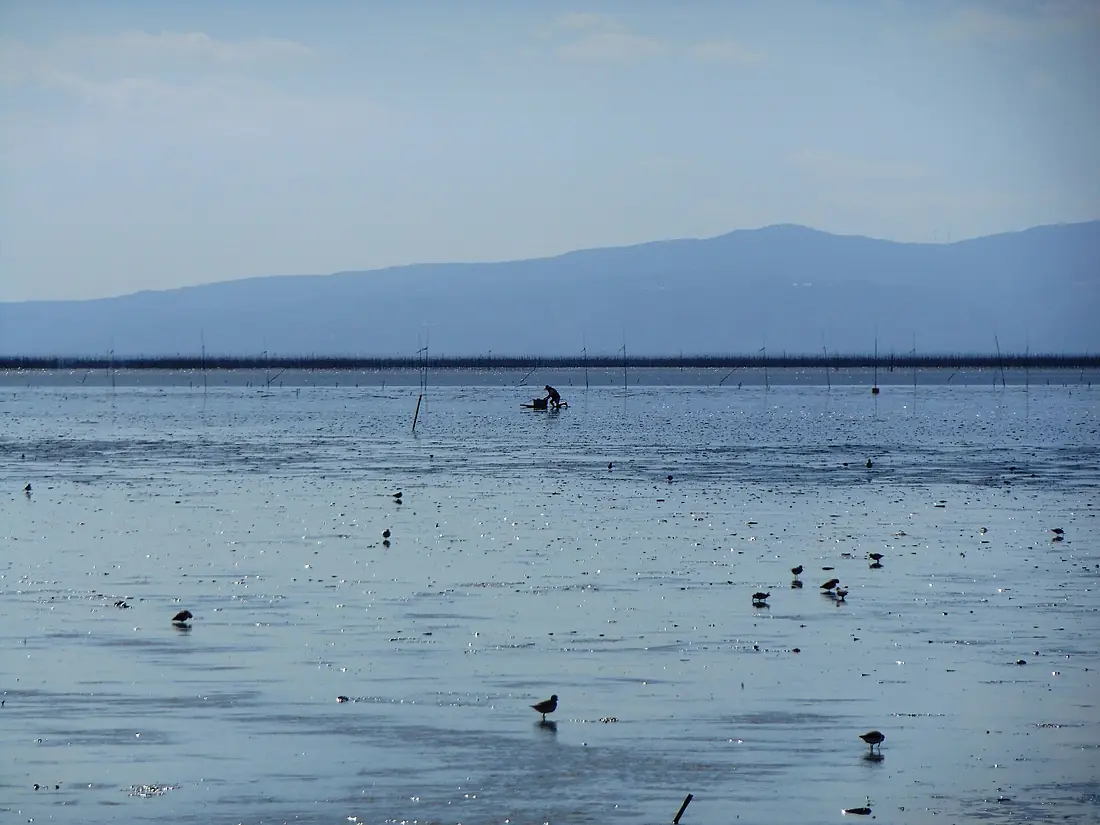 Fisherman rowing board on mudflat of Ariake Sea, Higashiyoka distant view
