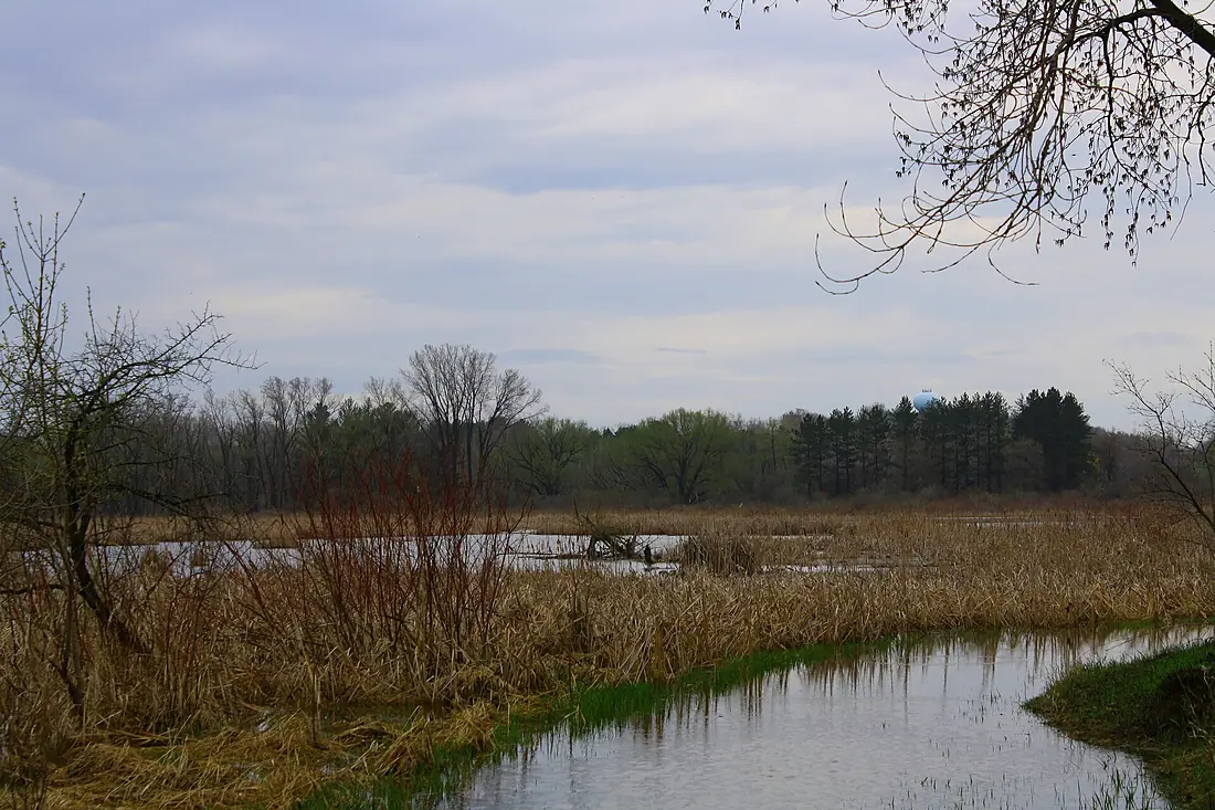 Horicon Marsh after rain - panoramio