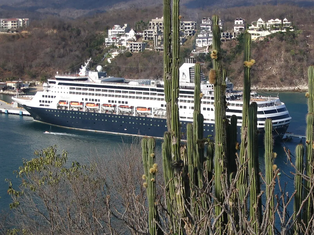 Maasdam in Huatulco with cactus