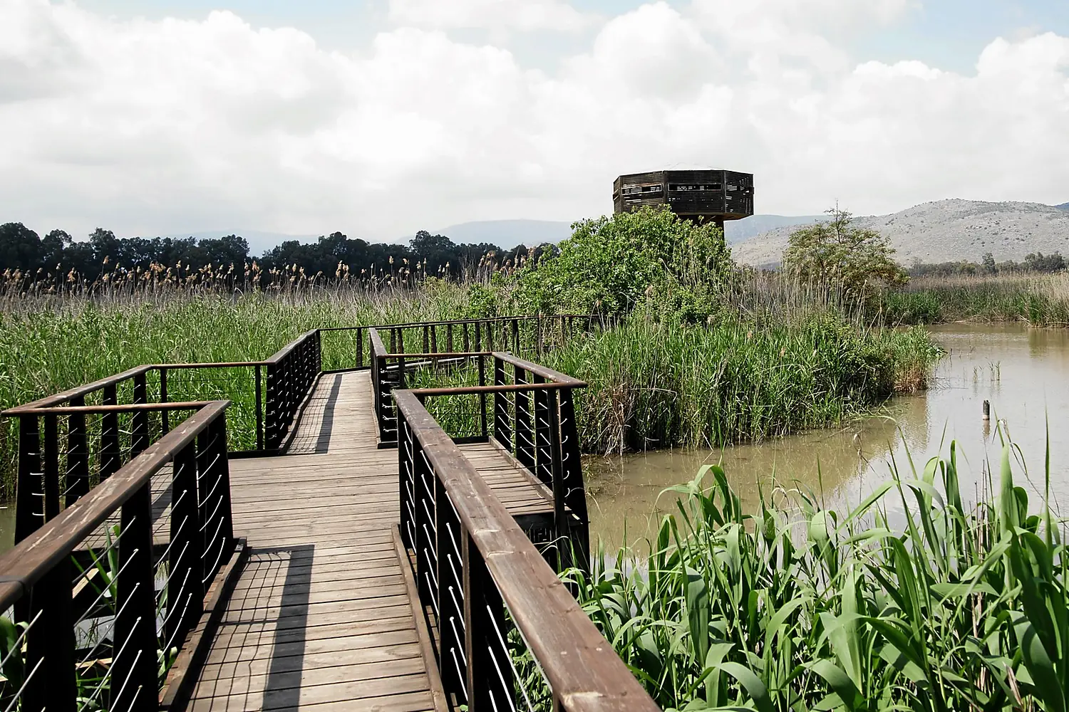 Hula-national-reserve-steg-a