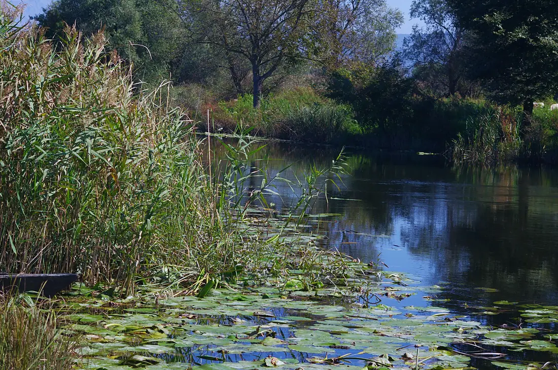 Hutovo blato6