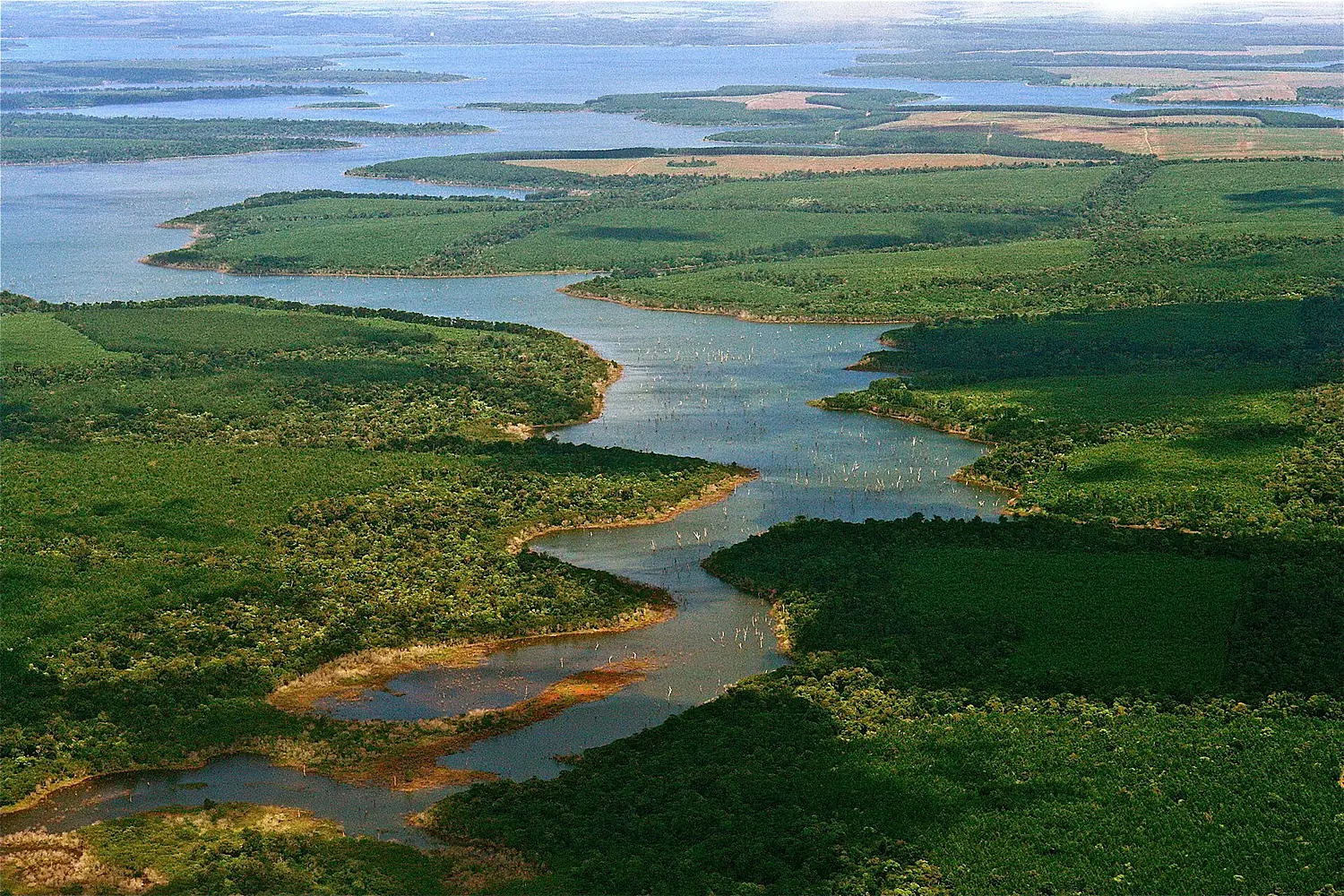 Flying Over Esteros del Iberá The kingdom of water, North-eastern Argentina