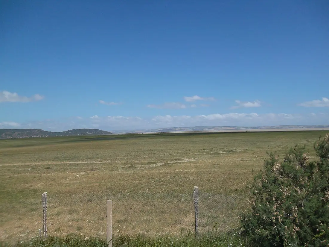 Ichkeul National Park 22