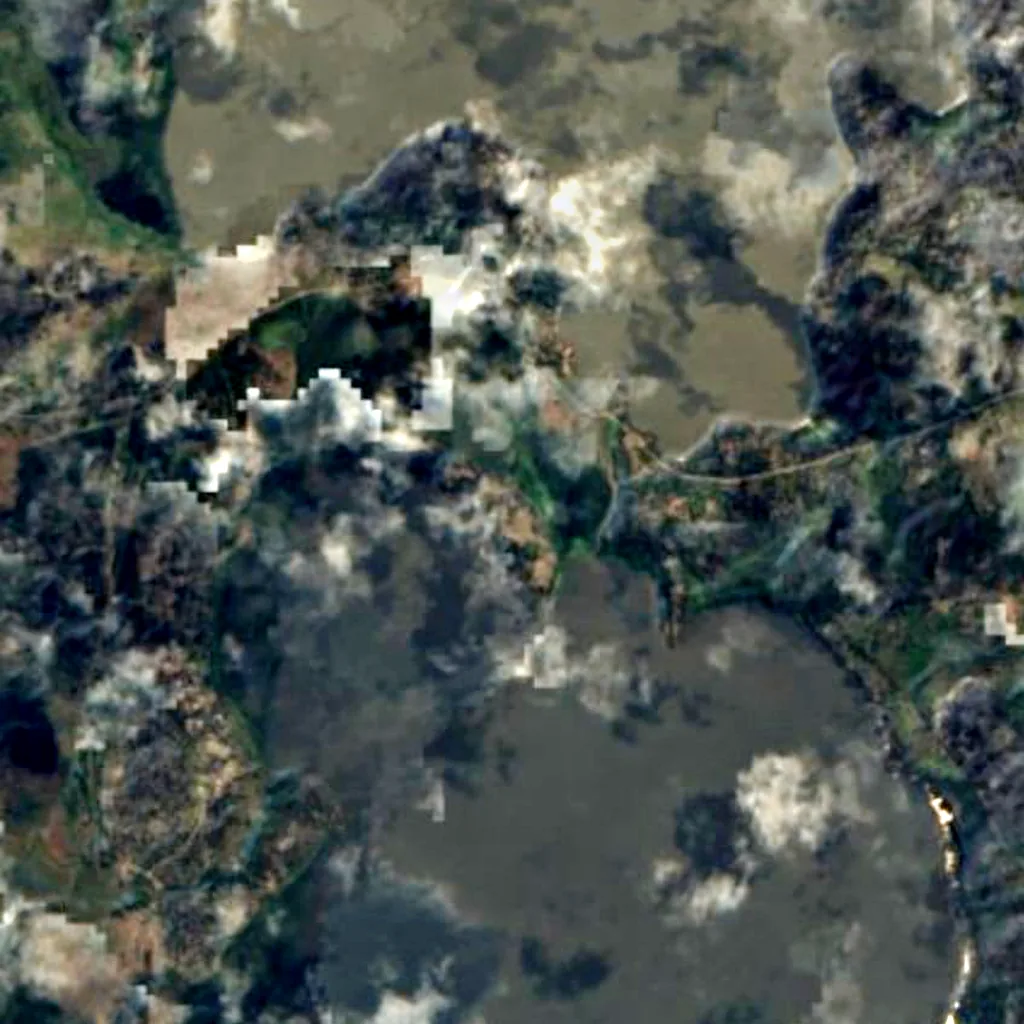 Interlaken Lakeside Reserve seen from above (Sentinel-2)