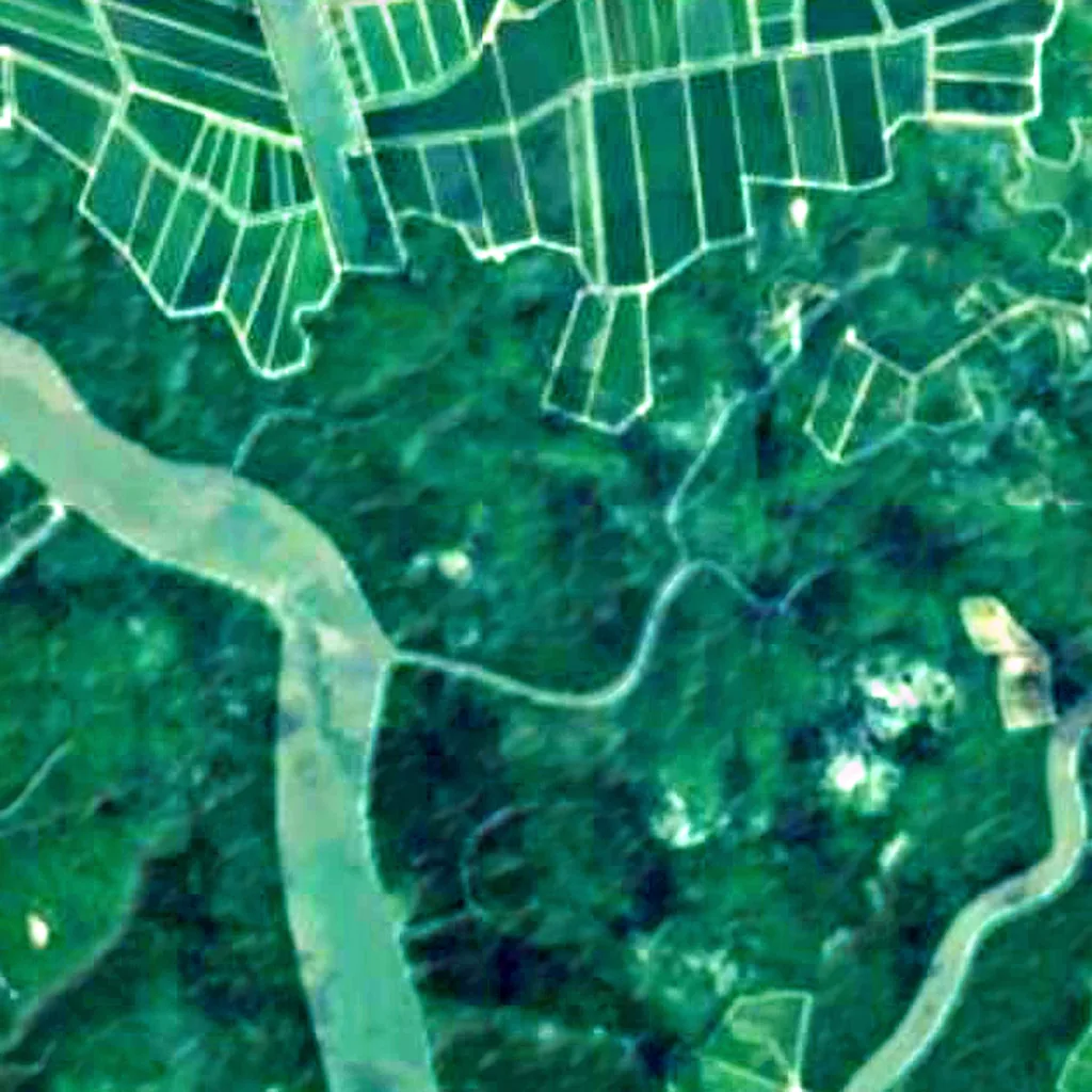 Isla Chupadores Chico seen from above (Sentinel-2)