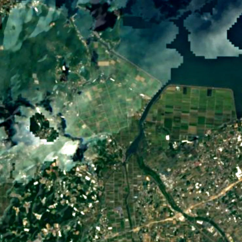 Izumi crane migration grounds von oben gesehen (Sentinel-2)