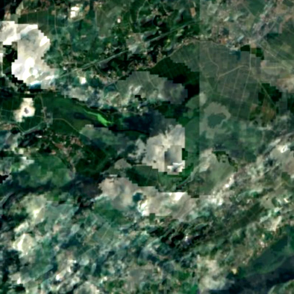 Izunuma-Uchinuma vu d'en haut (Sentinel-2)