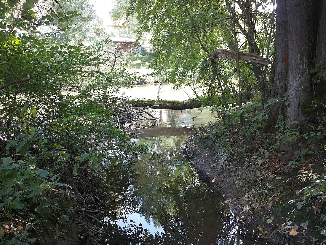 Mündung des Tiefenbachs in die Jagst bei Untergriesheim