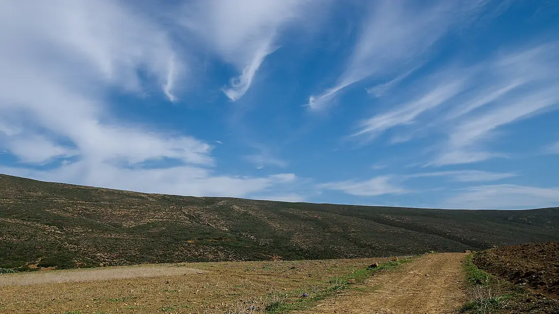 Djebel El Haouaria (Zone importante pour la conservation des oiseaux en Tunisie)