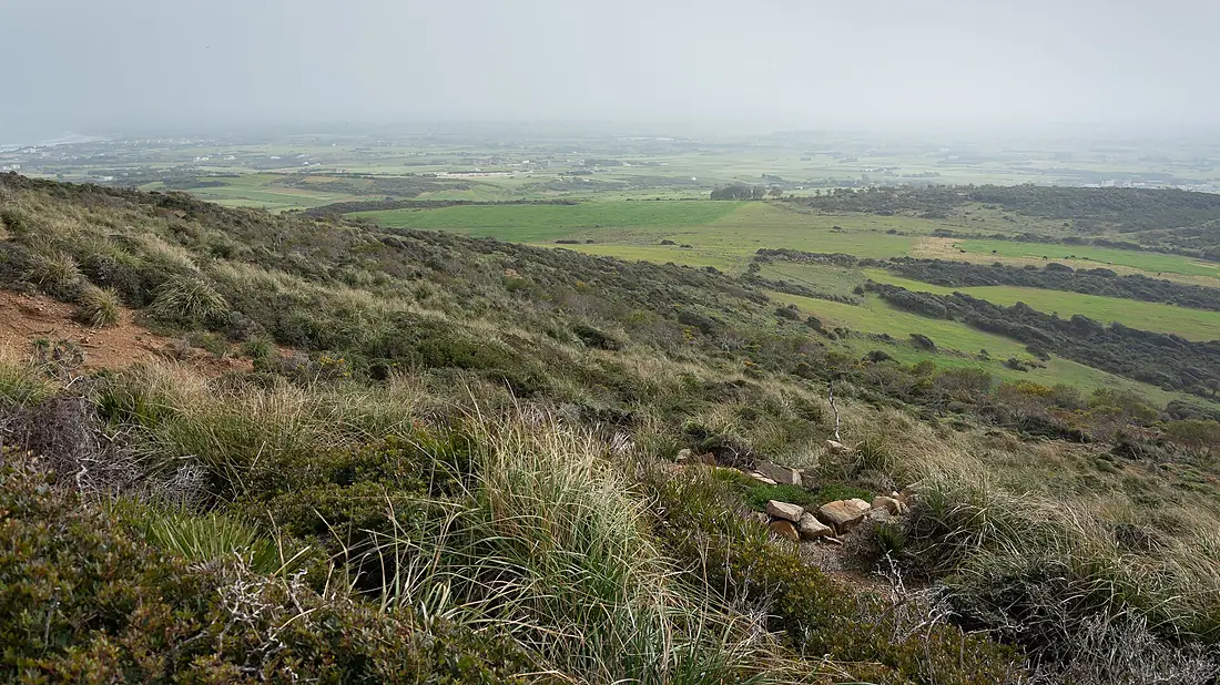 El Haouaria landscape