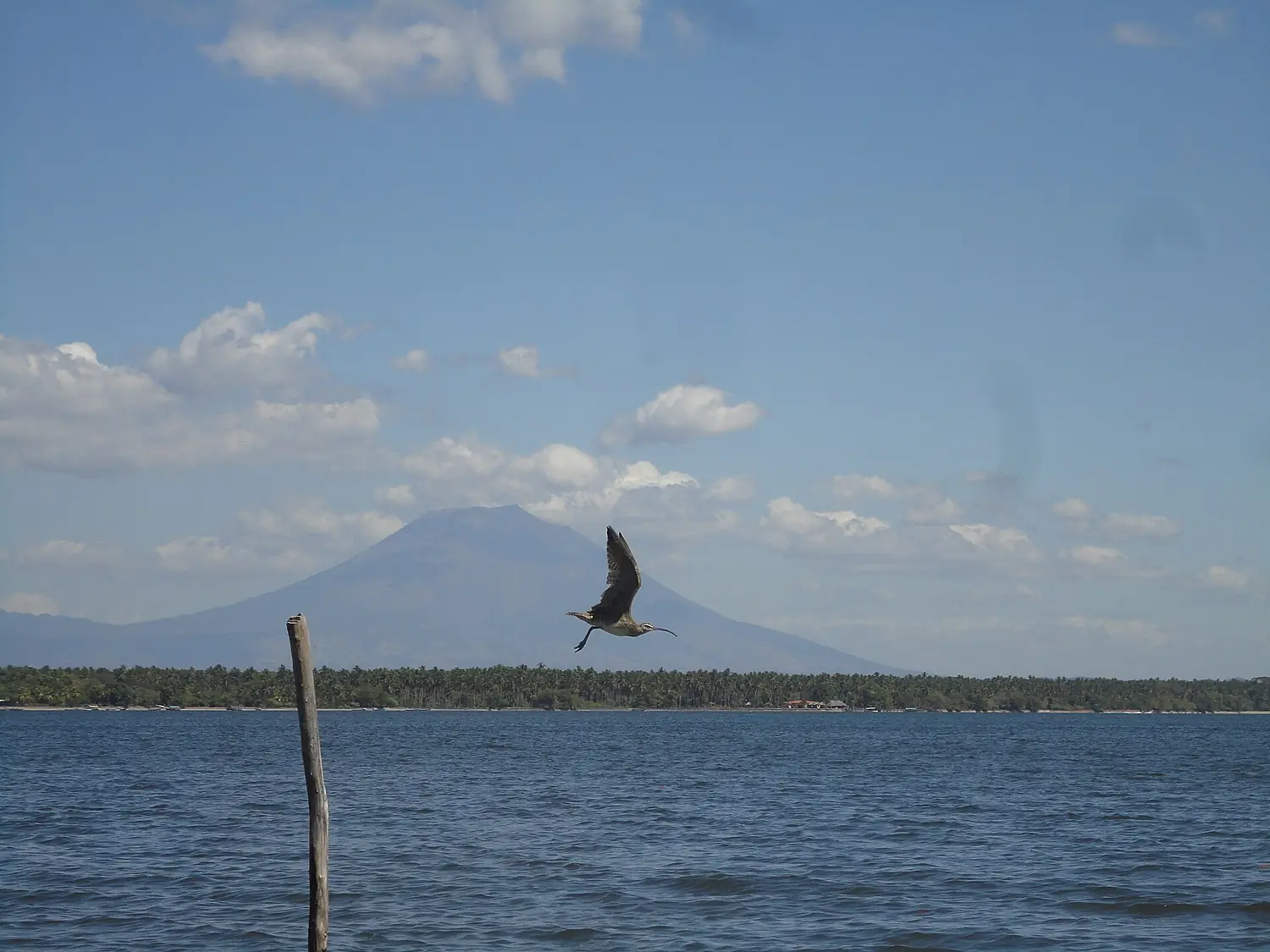 Bahia de Jiquilisco, El Salvador
