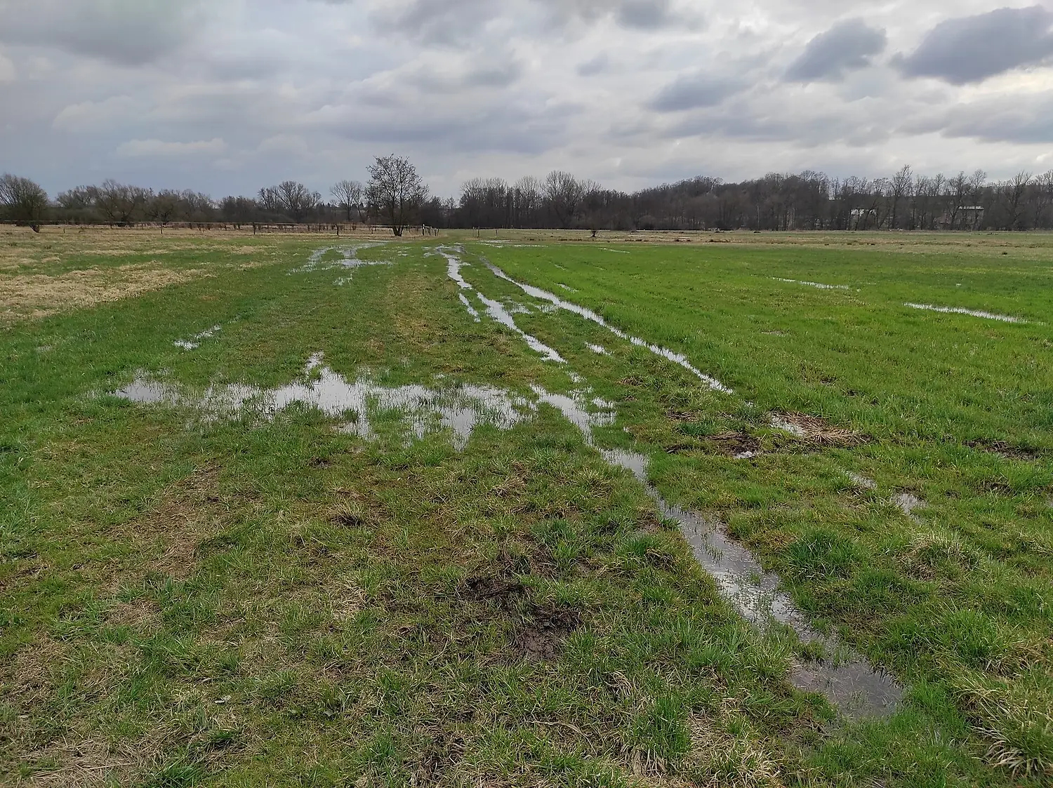 Ptačí park Josefovské louky (Josefov Meadows) 16