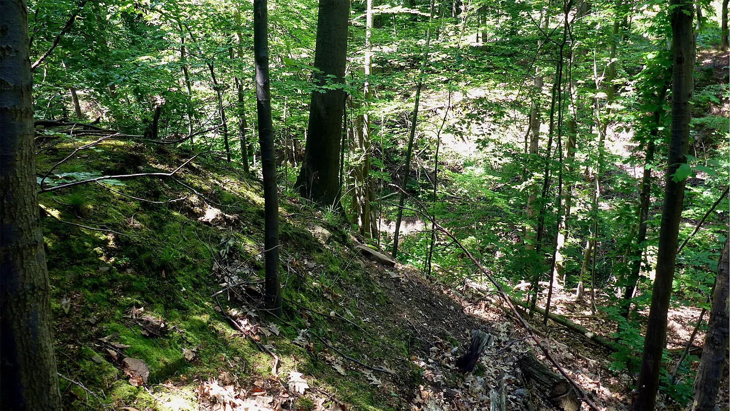 Kälberklamm und Hasenklamm NSG BW KA d