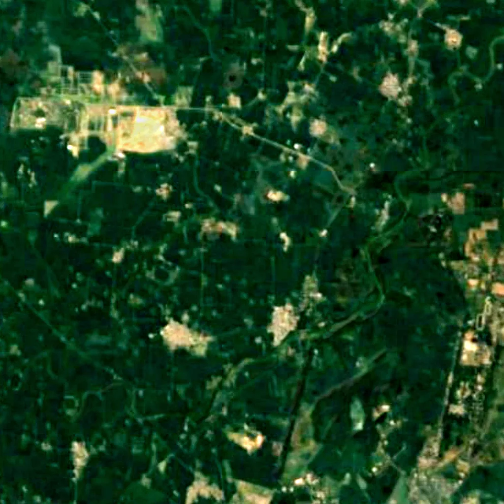 Kanjli Wetland seen from above (Sentinel-2)