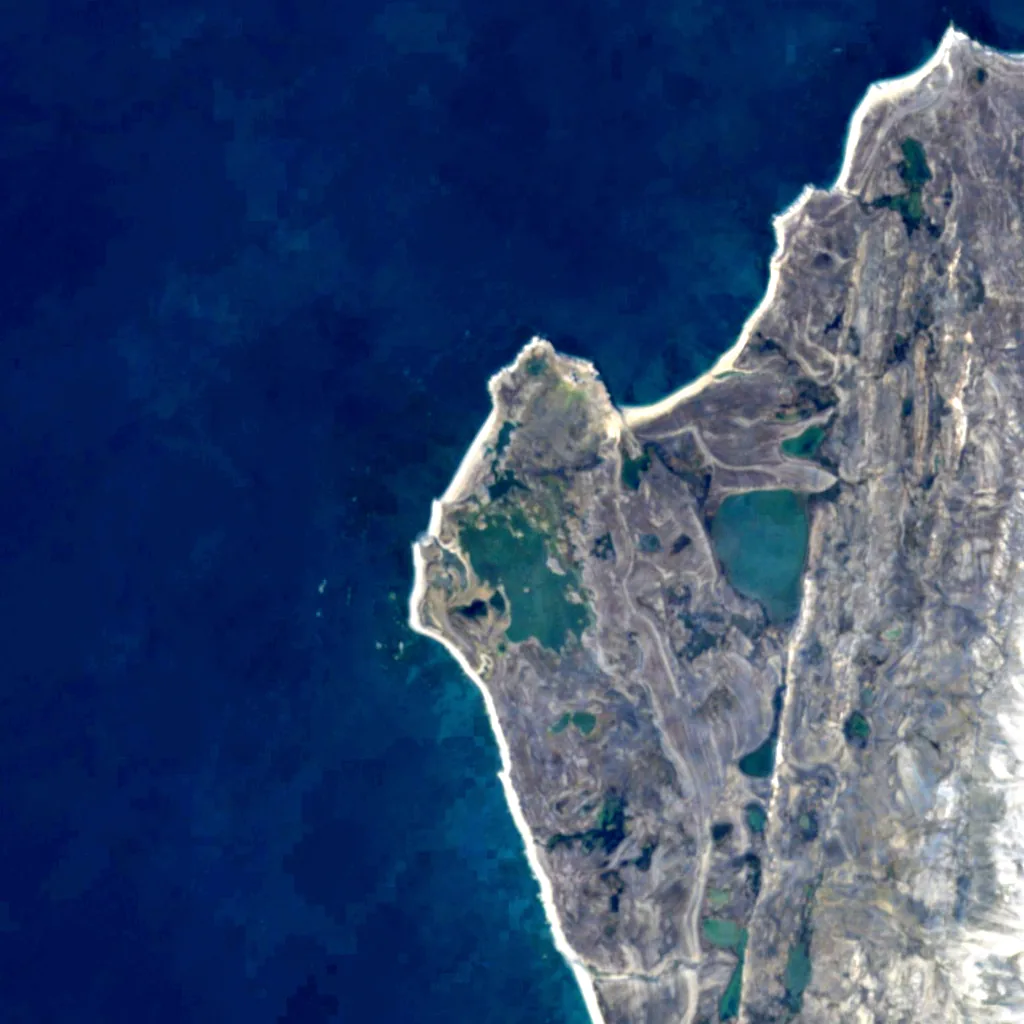 Kapp Linné Bird Sanctuary seen from above (Sentinel-2)