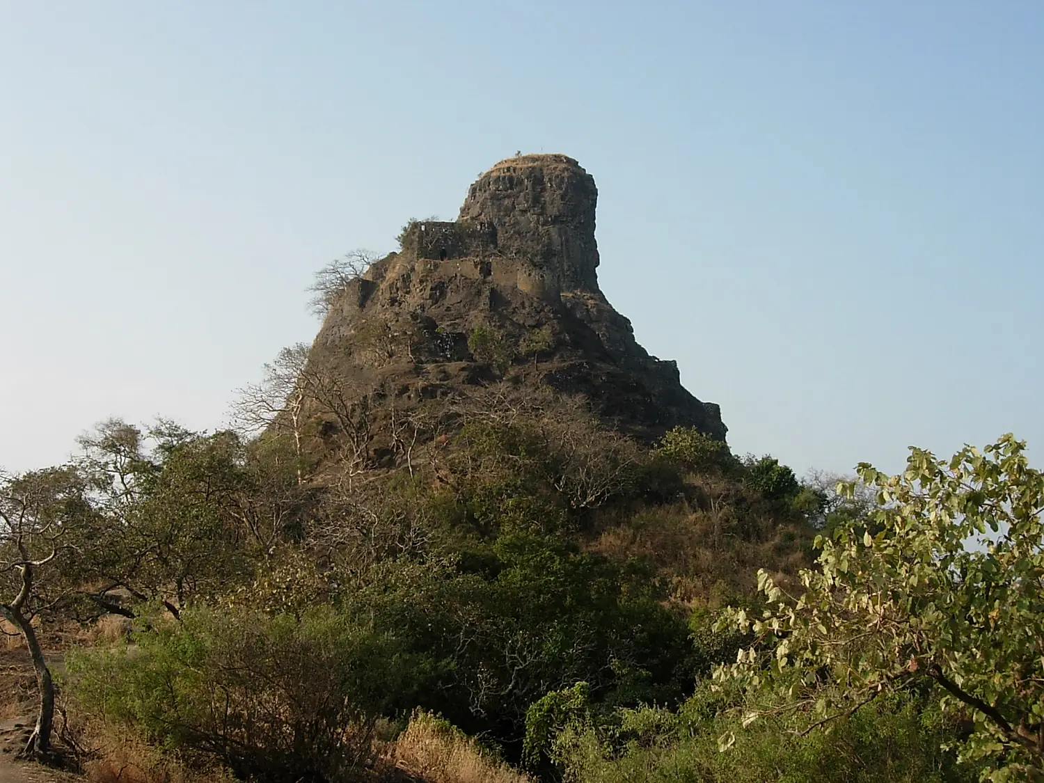 Karnala 006