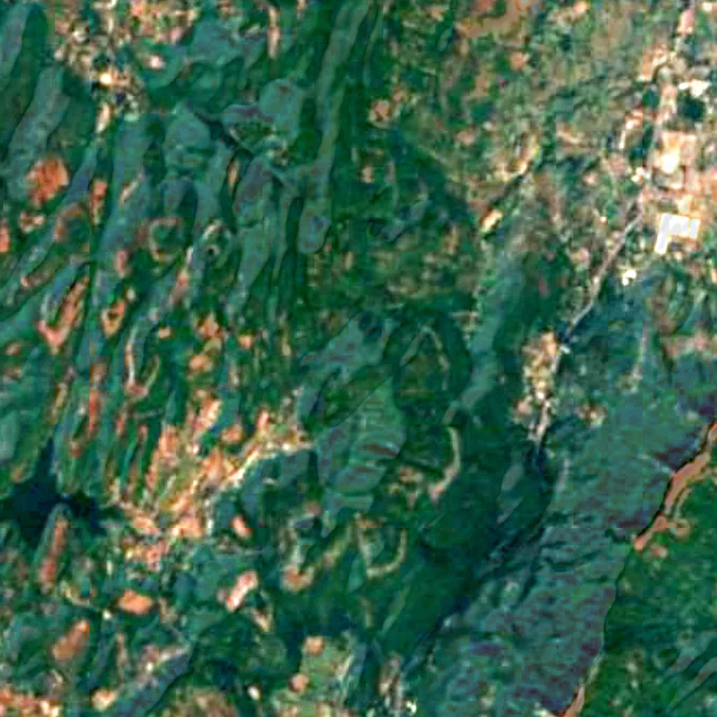 Karnala Bird Sanctuary seen from above (Sentinel-2)